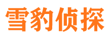 河口市侦探调查公司